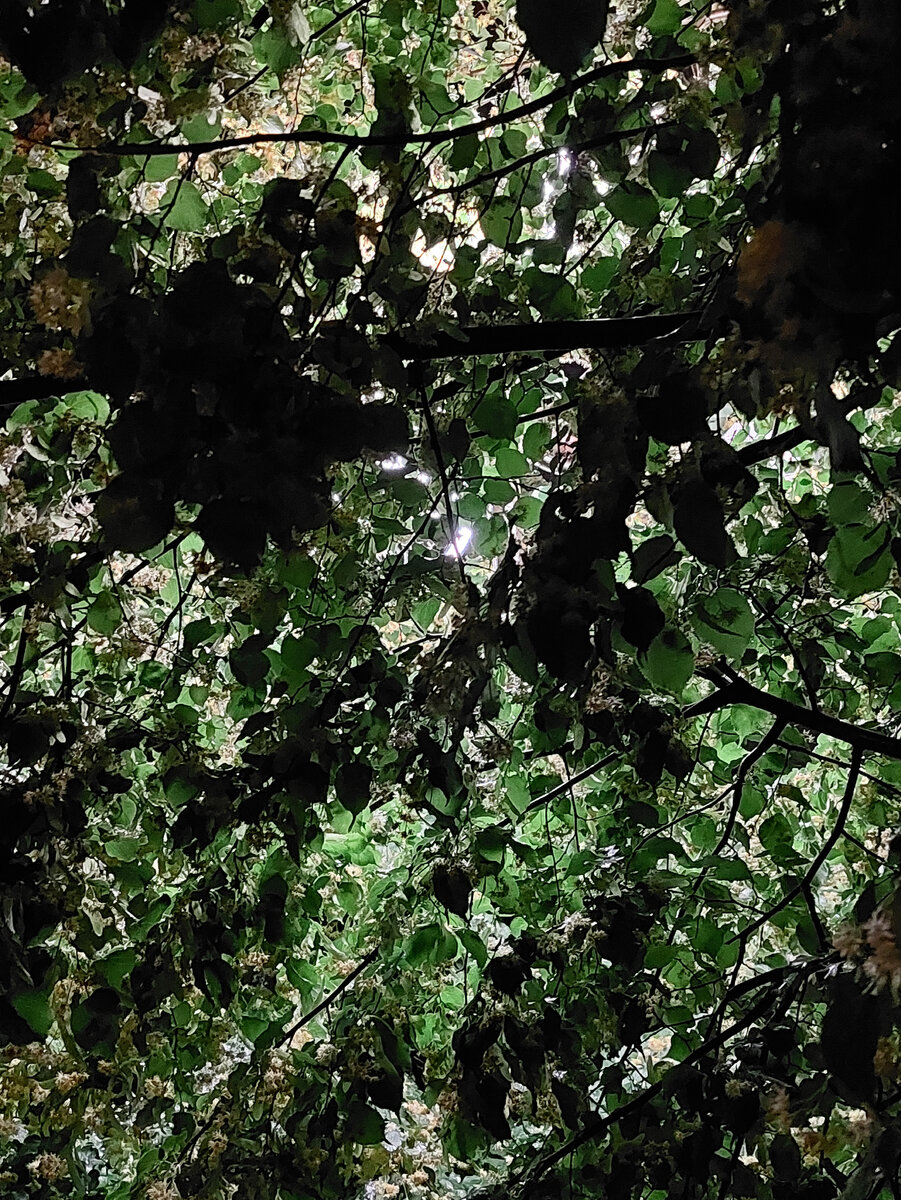 Это мог бы быть газовый фонарь