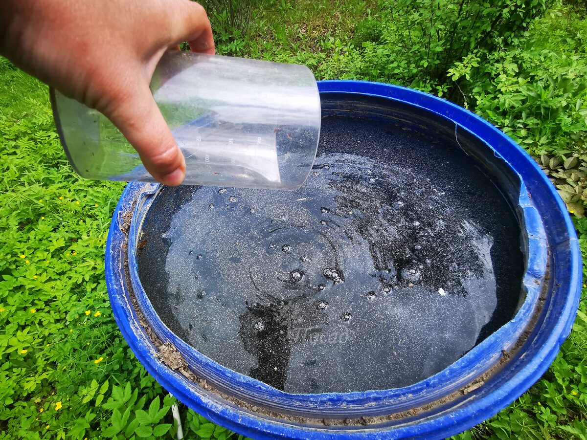 Полив электролитом. Голубика подкислить воду. Подкисленная вода. Чем подкислить воду для полива цитрусовых.