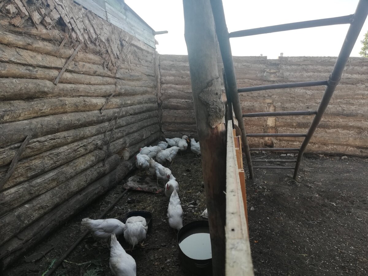 В изоляцие) 