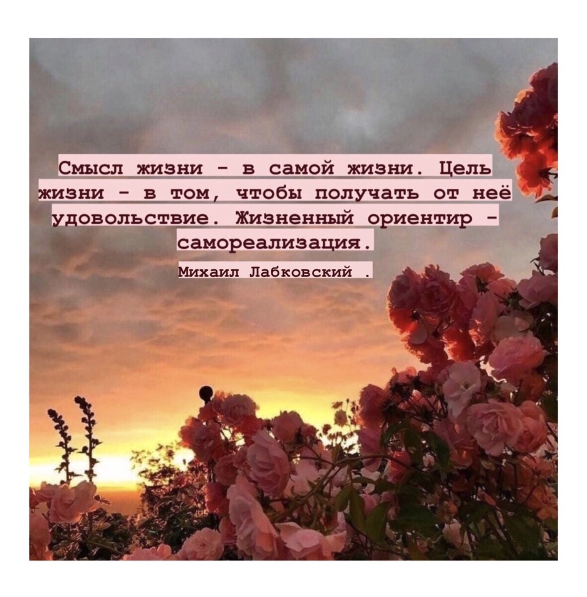 Цитата Михаила Лабковского 