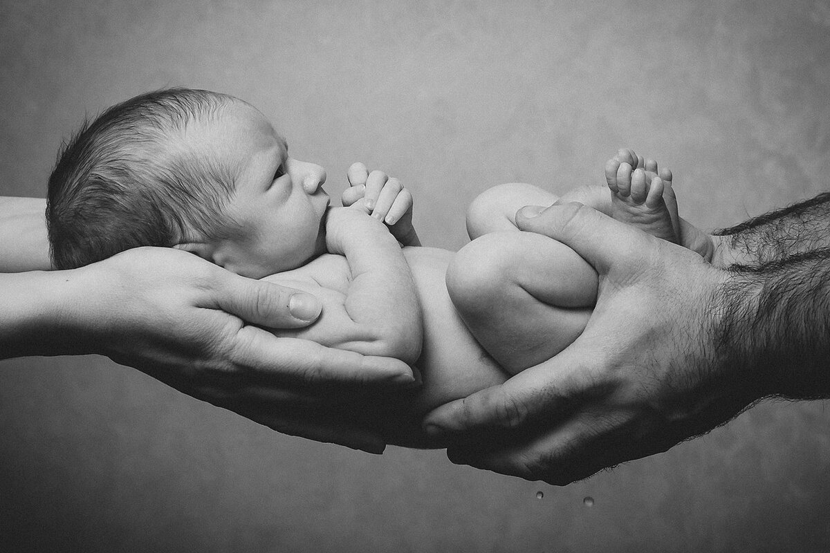 Фото из открытого источника Яндекс 