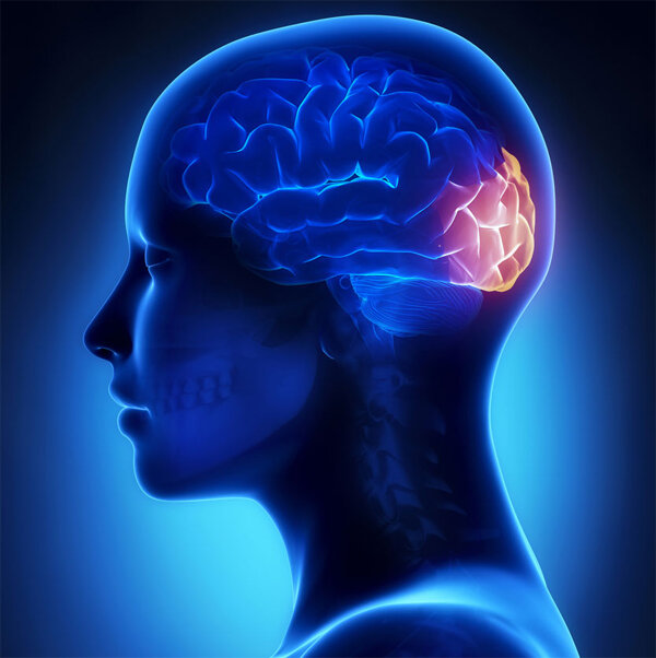 это она, без лишнего пиздежа