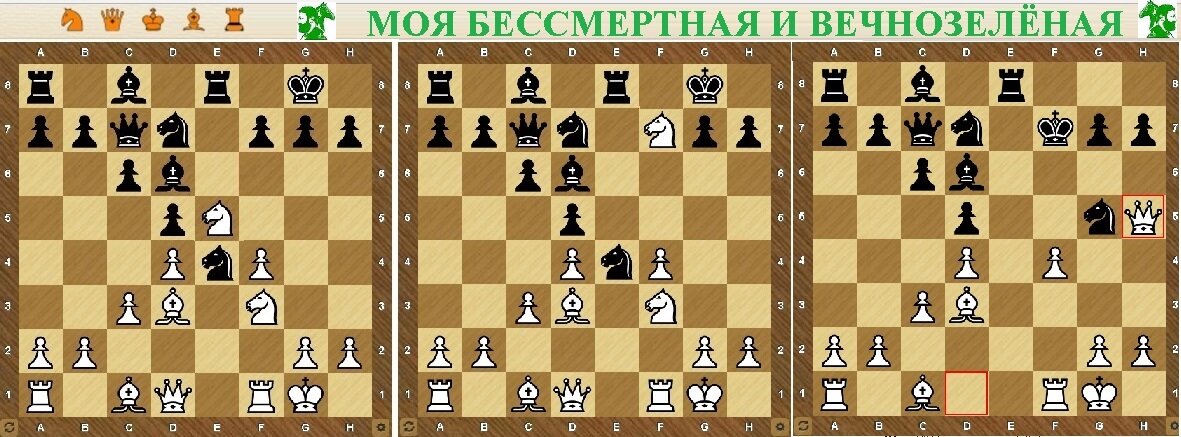 Позиции  после 12 хода белых, 13 хода белых и 14-го хода белых. Мат форсирован