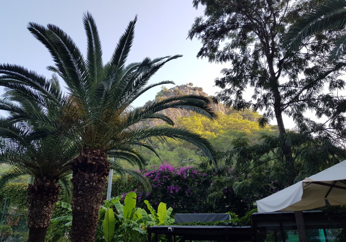 Фото автора.