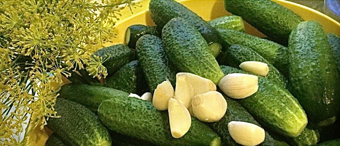 Готовим огурчики к консервации