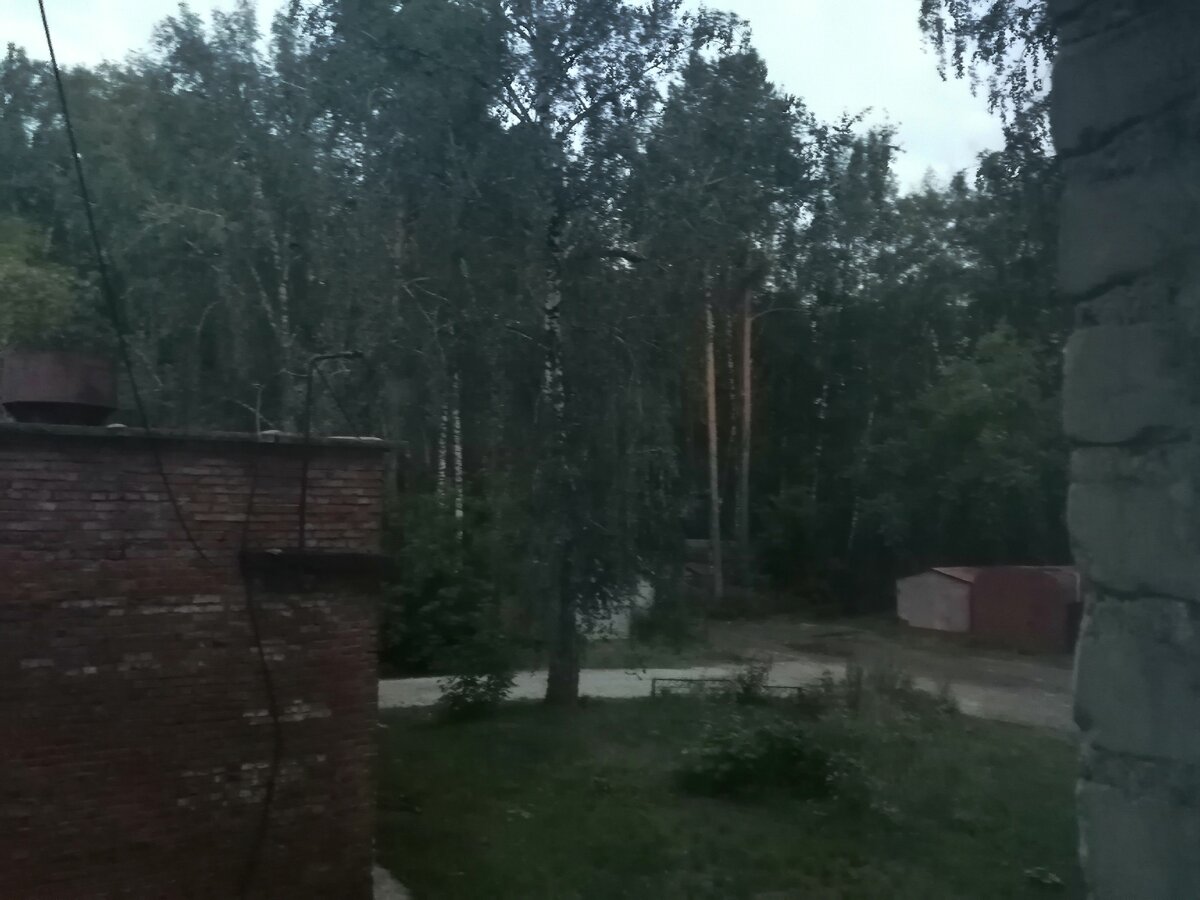 вид из окна квартиры
