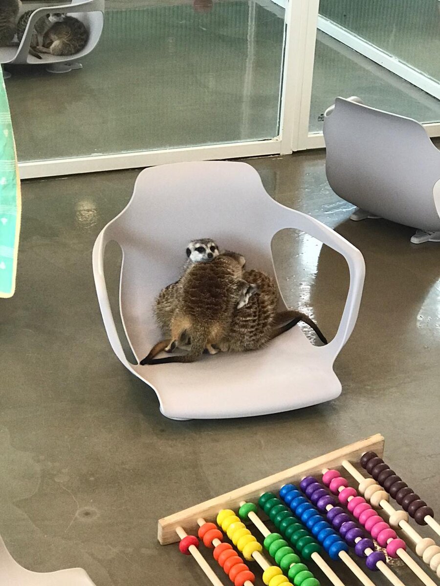 фото из личного архива