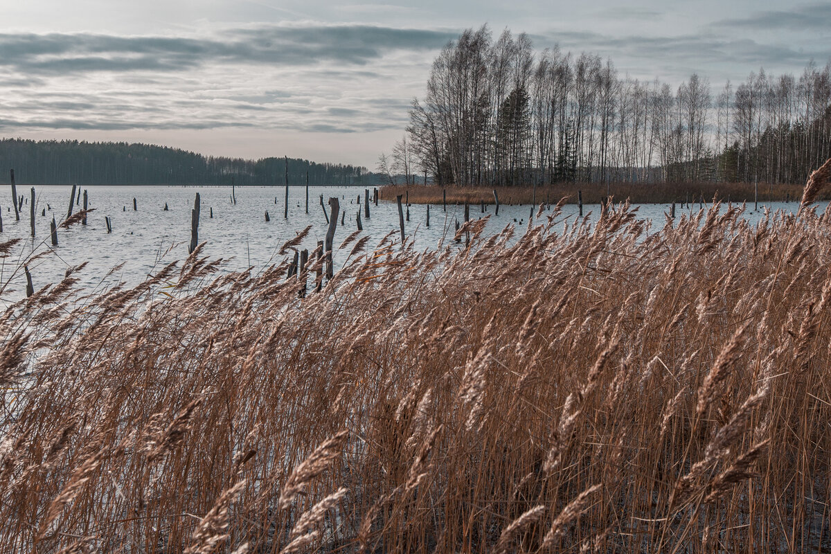 Несколько красивых фотографий из средней полосы России.