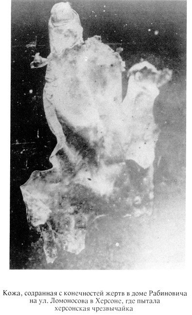 фото с открытых источников