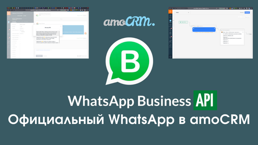 WhatsApp Business API в amoCRM показываем как работает