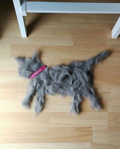 Это вот что у нас получилось