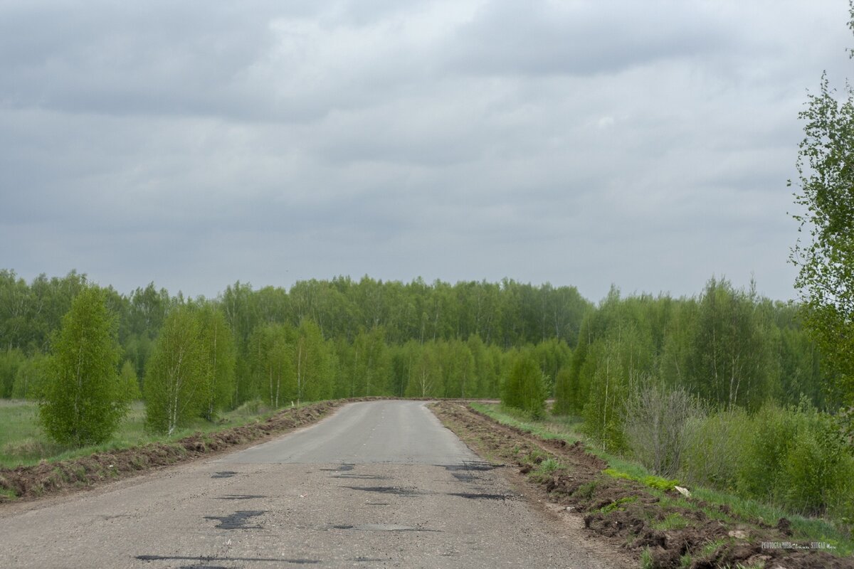 Древний город Васильсурск, священная марийская роща и Нью-Васюки