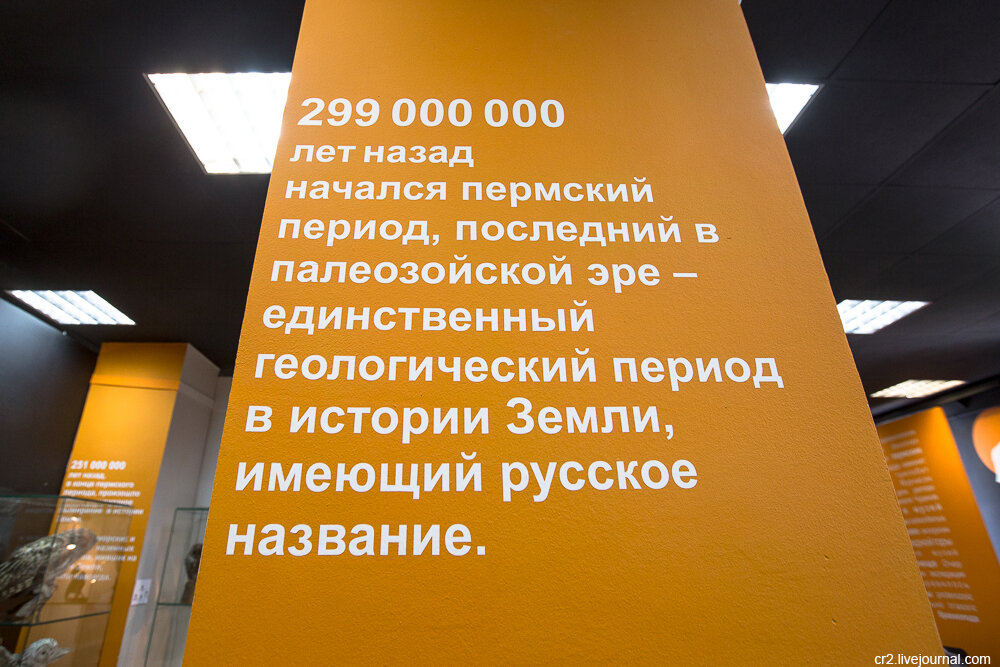 Пермский период. Музей пермских древностей, Пермь 