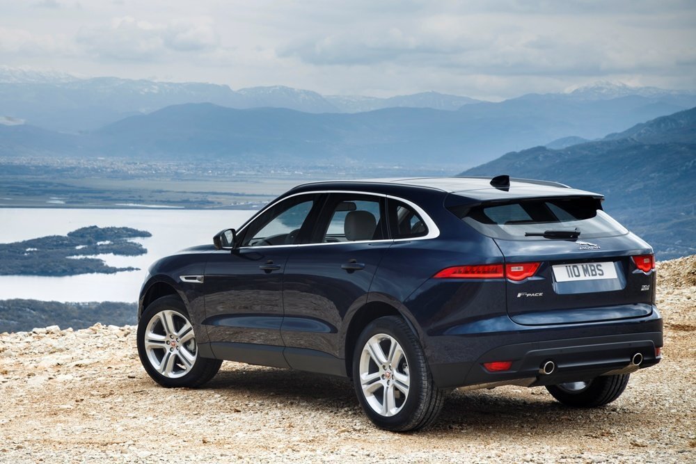 Фото из свободного доступа