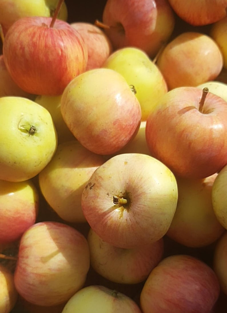 Листайте вправо