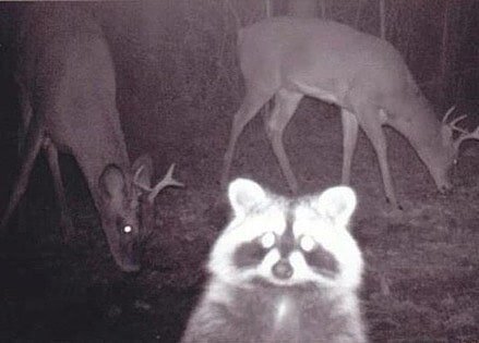 Когда нечаянно включил камеру