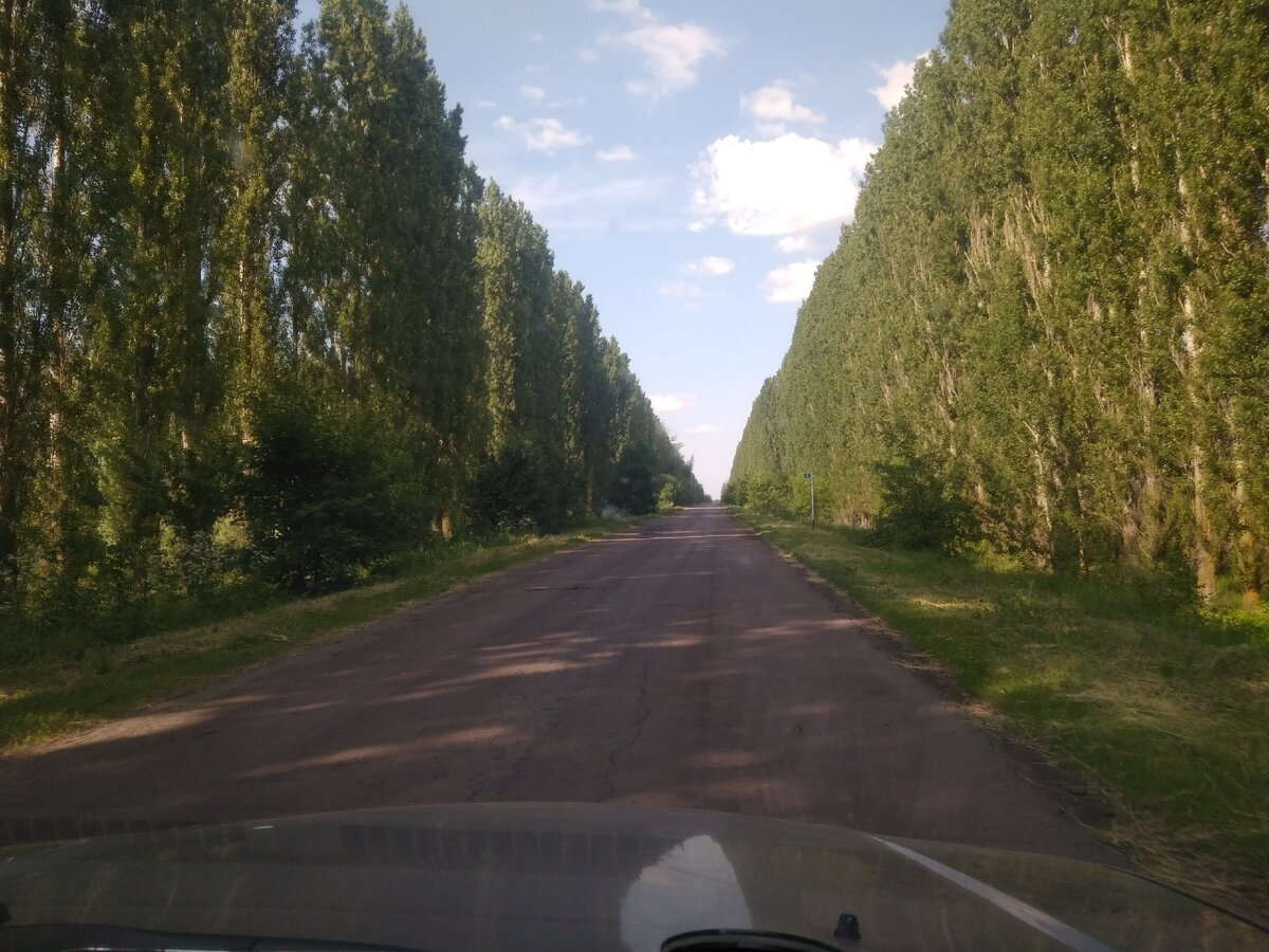 Где-то в Воронежской области