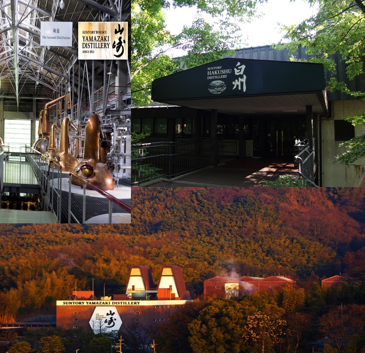 Вискокурни Японии