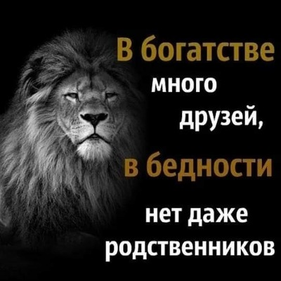 Яндекс свободный доступ