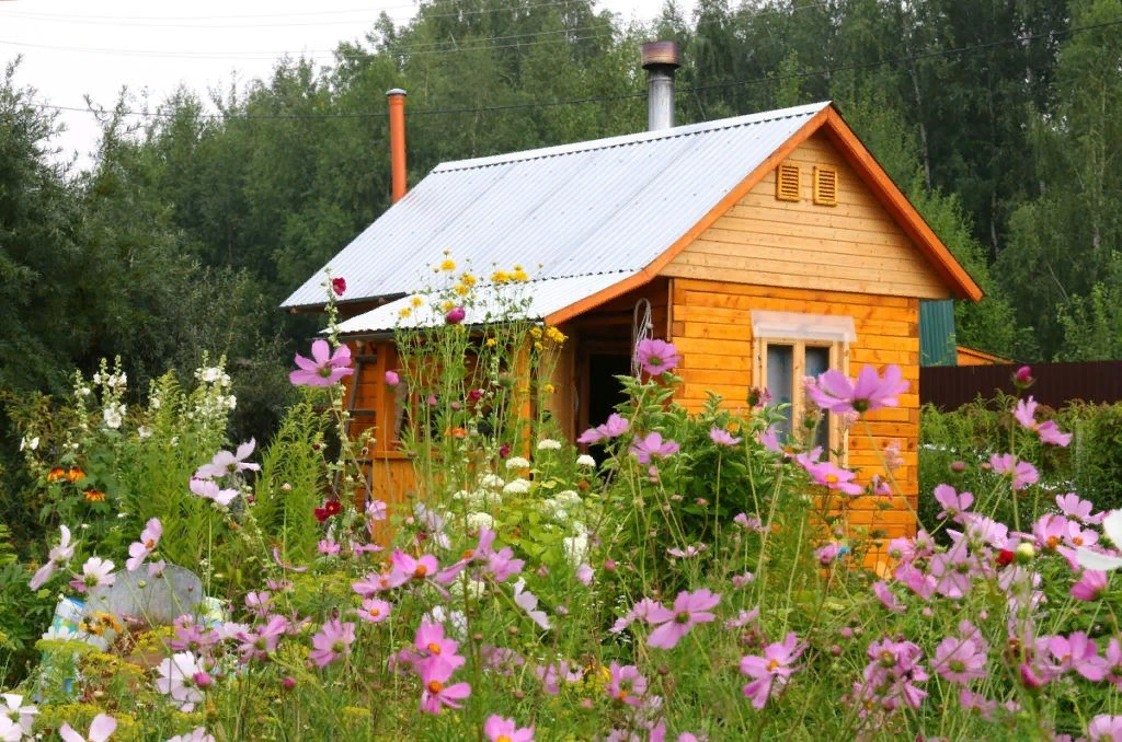 Фото из открытого источника