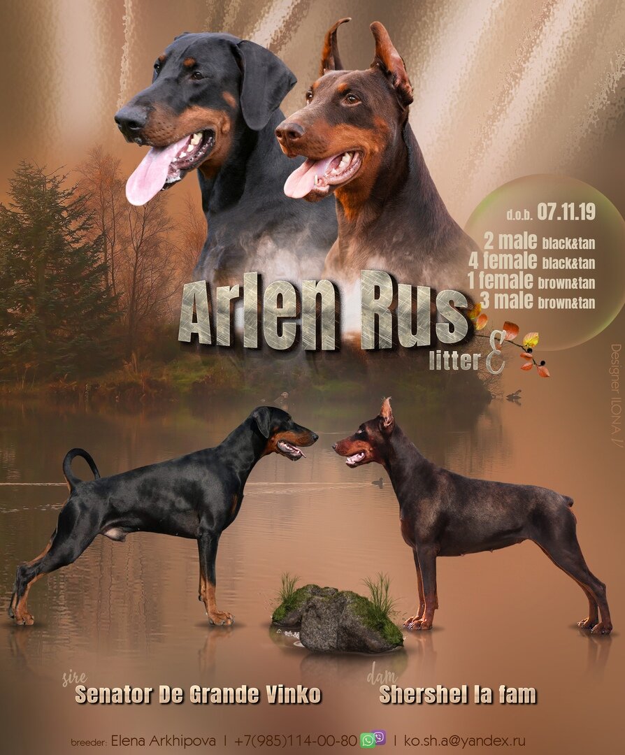 Источник https://vk.com/arlenrus