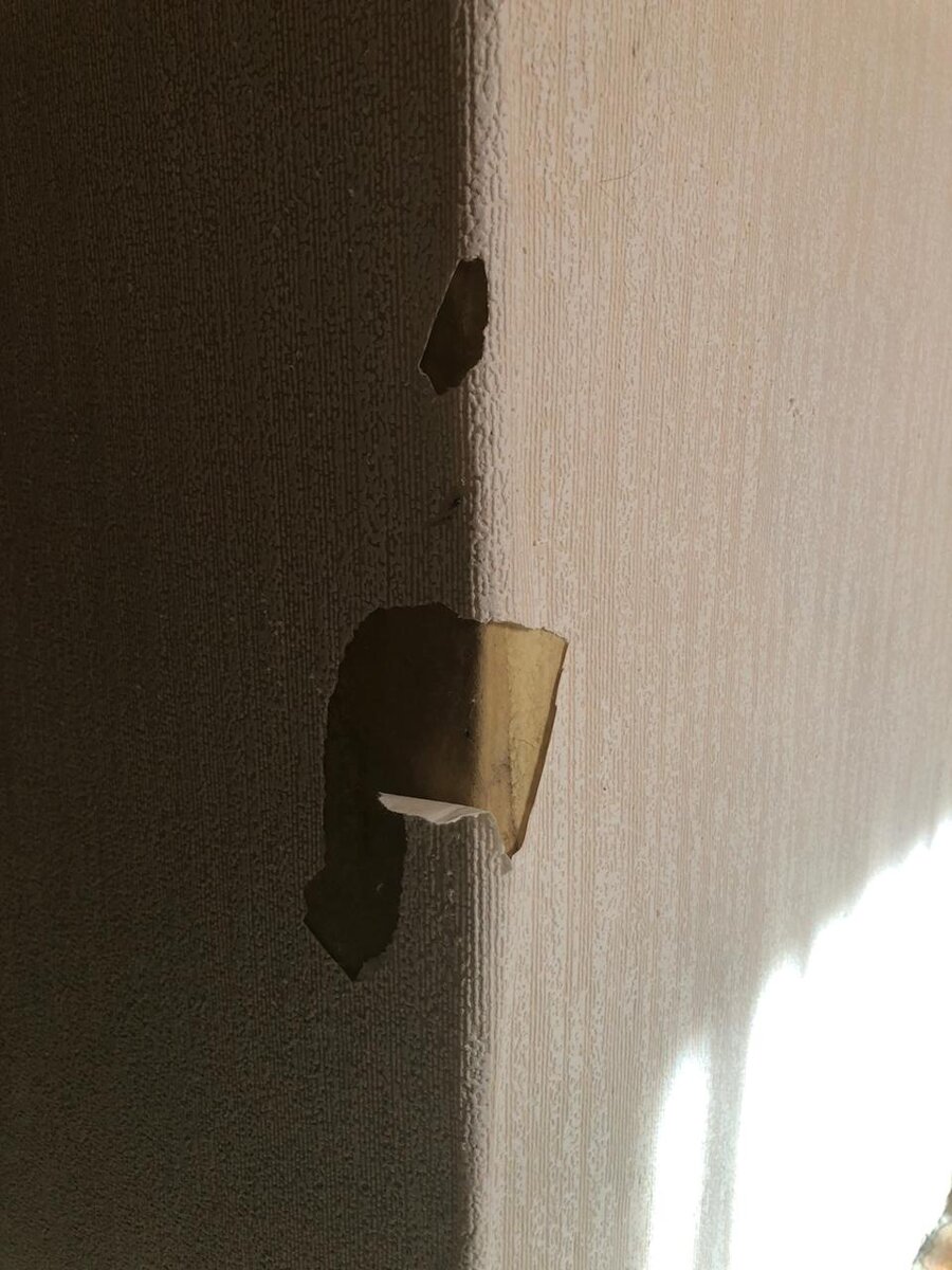 Страшный сон всех хоязев