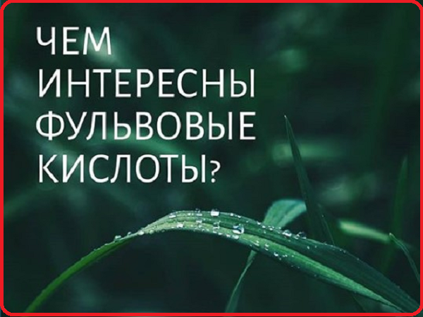 Фульвовые кислоты