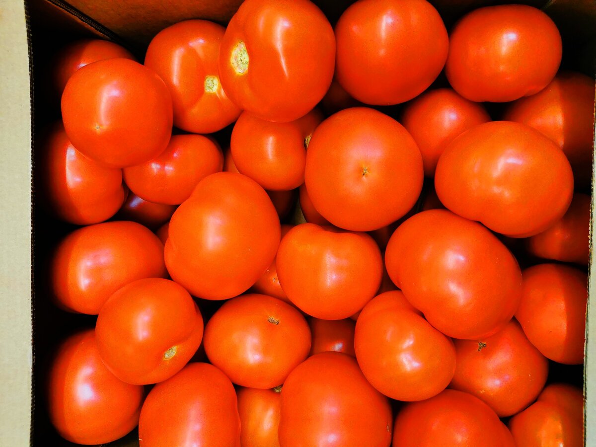 Помидорное плато.