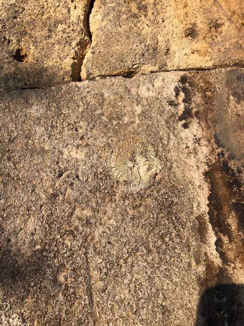  Фото: Тула ушедшего века