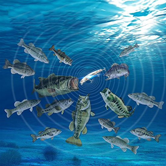 Для заказа воблера https://ax.net.ua/tJ1ZT