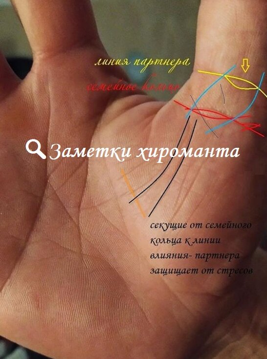 Кольца брака на руке хиромантия фото