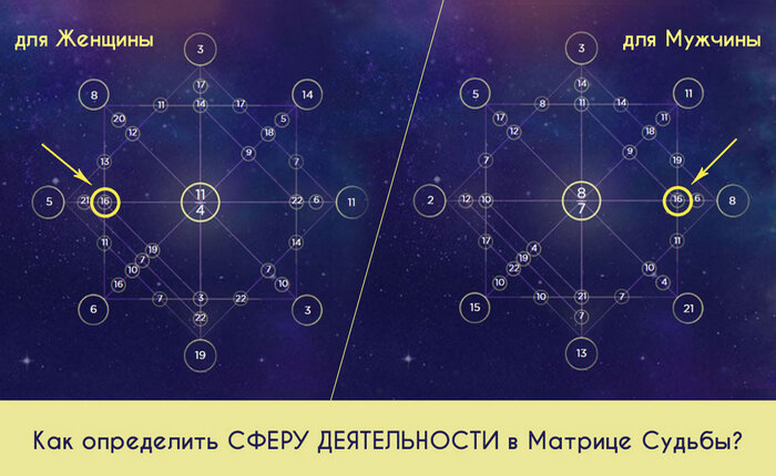 сфера деятельности