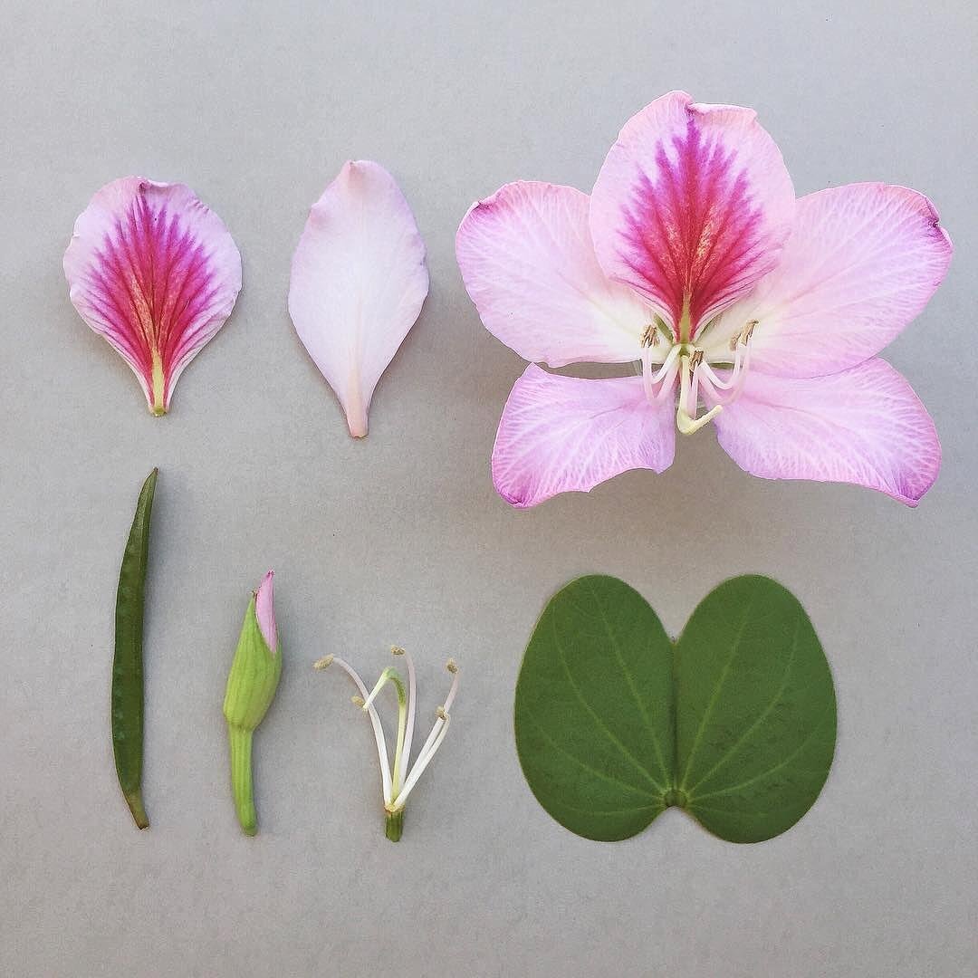 Фото by R O B B I E H O N E Y . https://www.instagram.com/p/CBYX1CxgiHA/ 