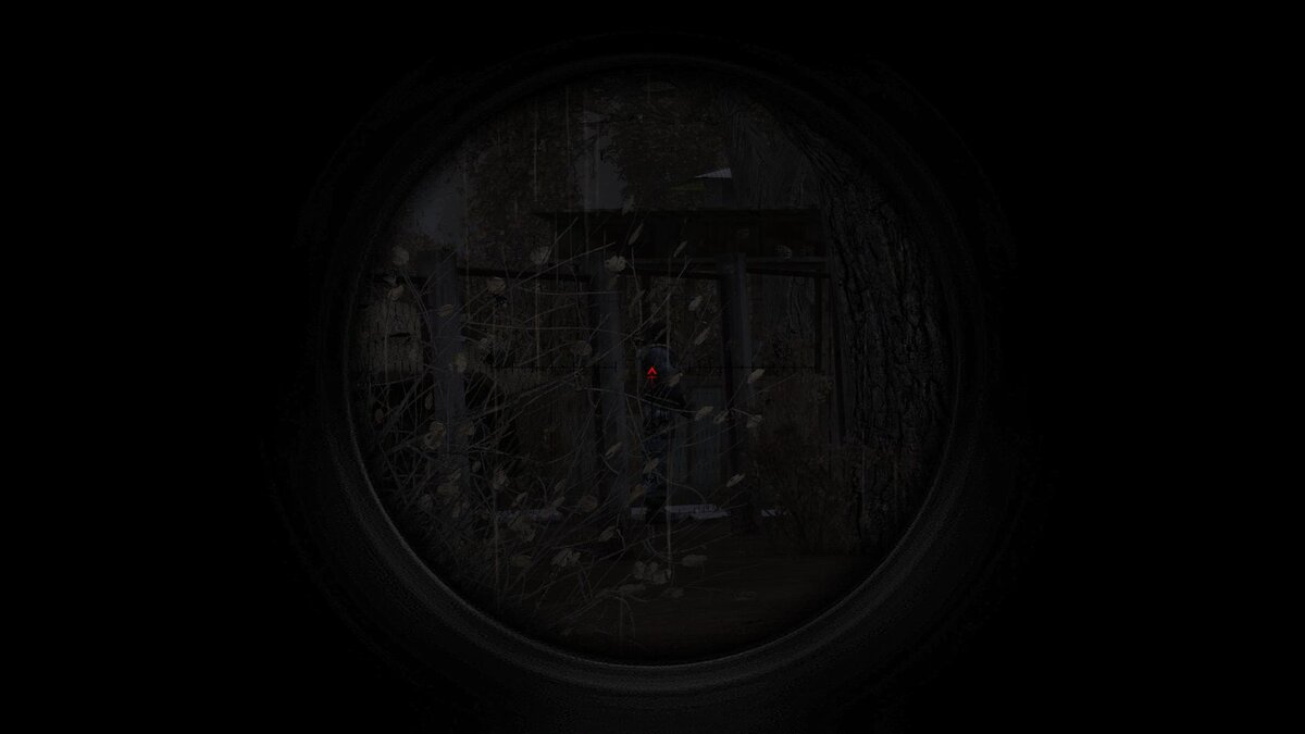 Наёмник на посту у входа в здание, меня пока что не видит.