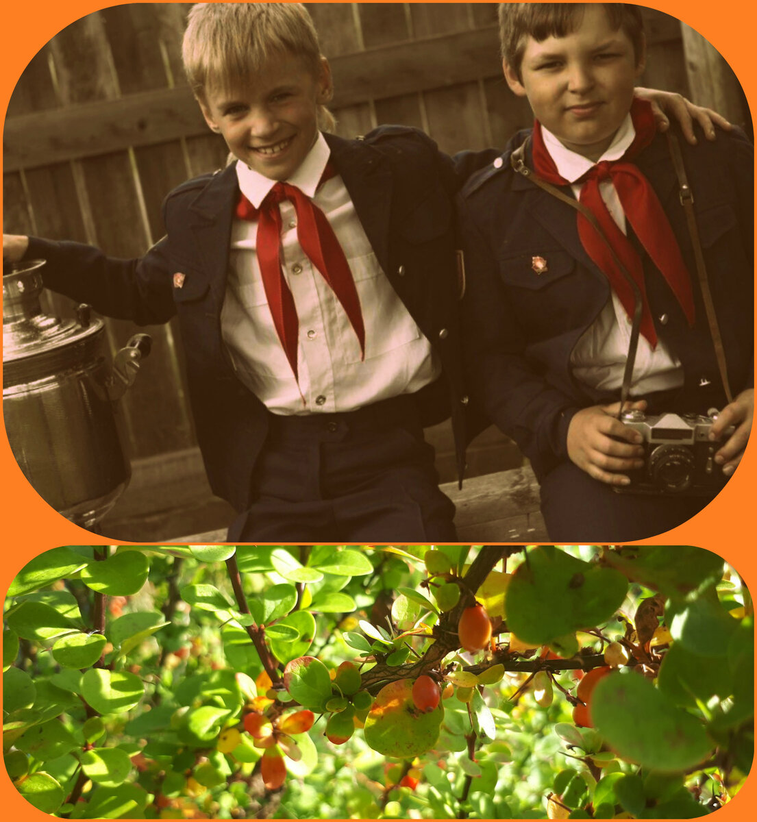 Коллаж автора