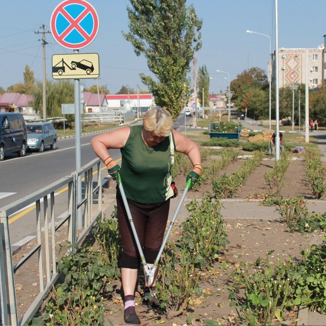 Ленинградское сельское