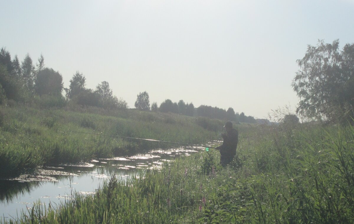 Вот эта канава, с большим разнообразием дикой рыбы)))