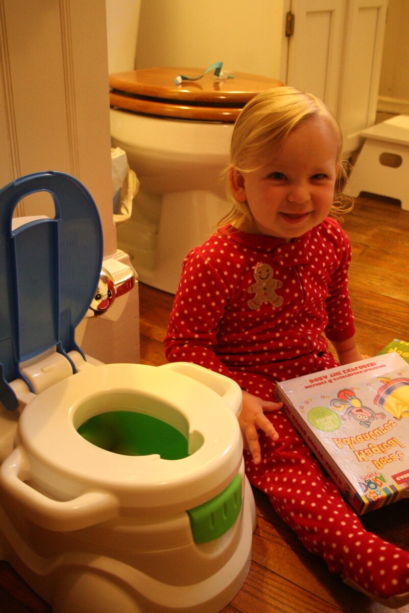 Считается, что проще всего к горшку приучить 2ух годовалого малыша.