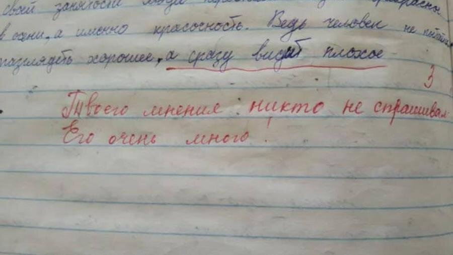 Та самая запись под сочинением