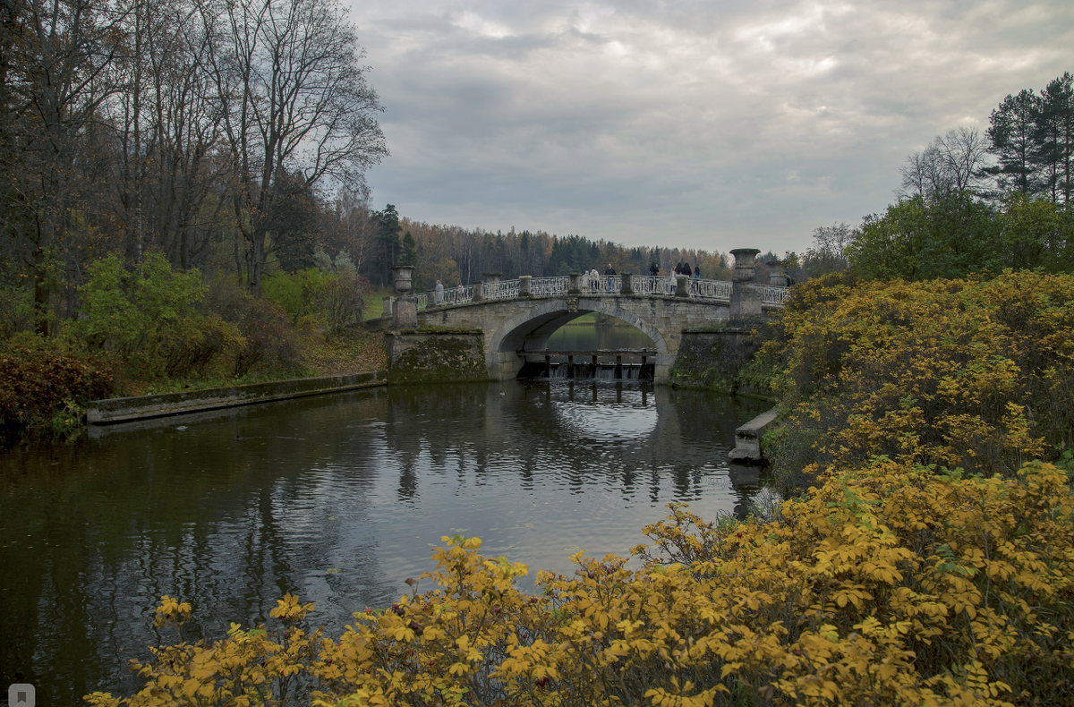 Фото Александра Дроздова