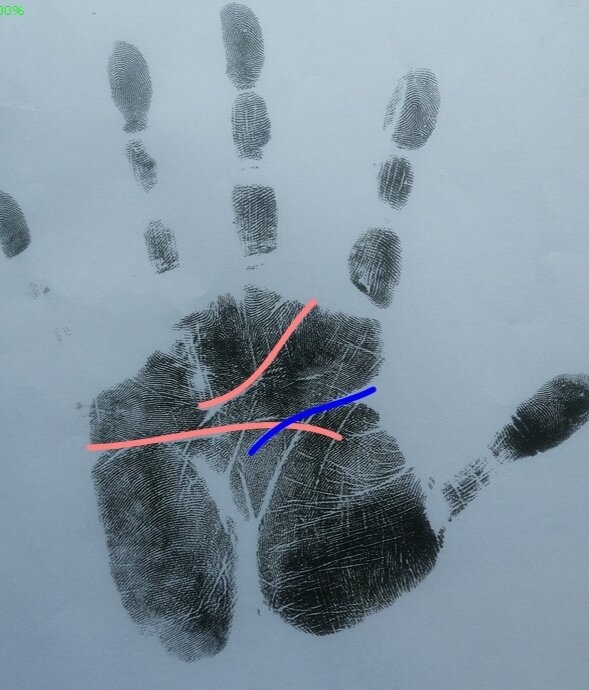 тот же оттиск с зарисовкой