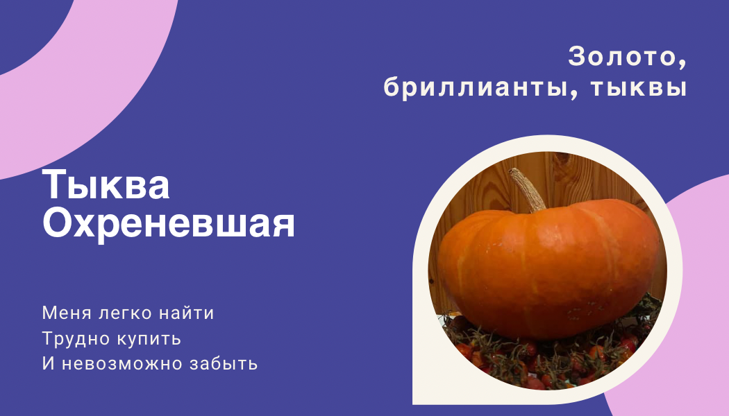 У тыквы с таким ценником должна быть визитка 