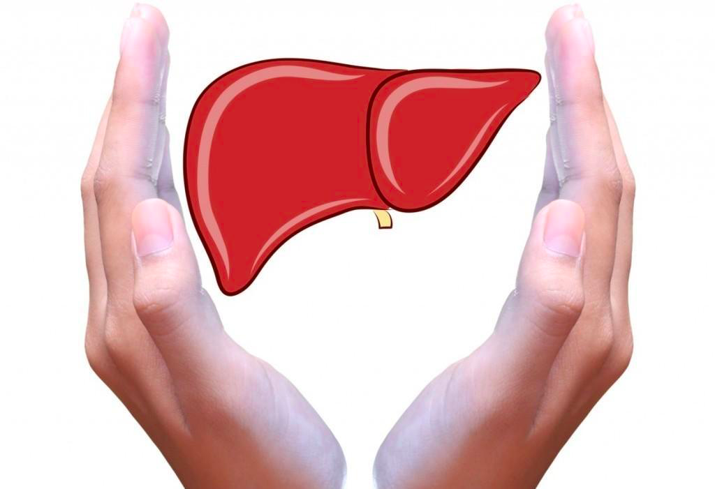 Фото взято из открытого источника "Яндекс.Картинки"