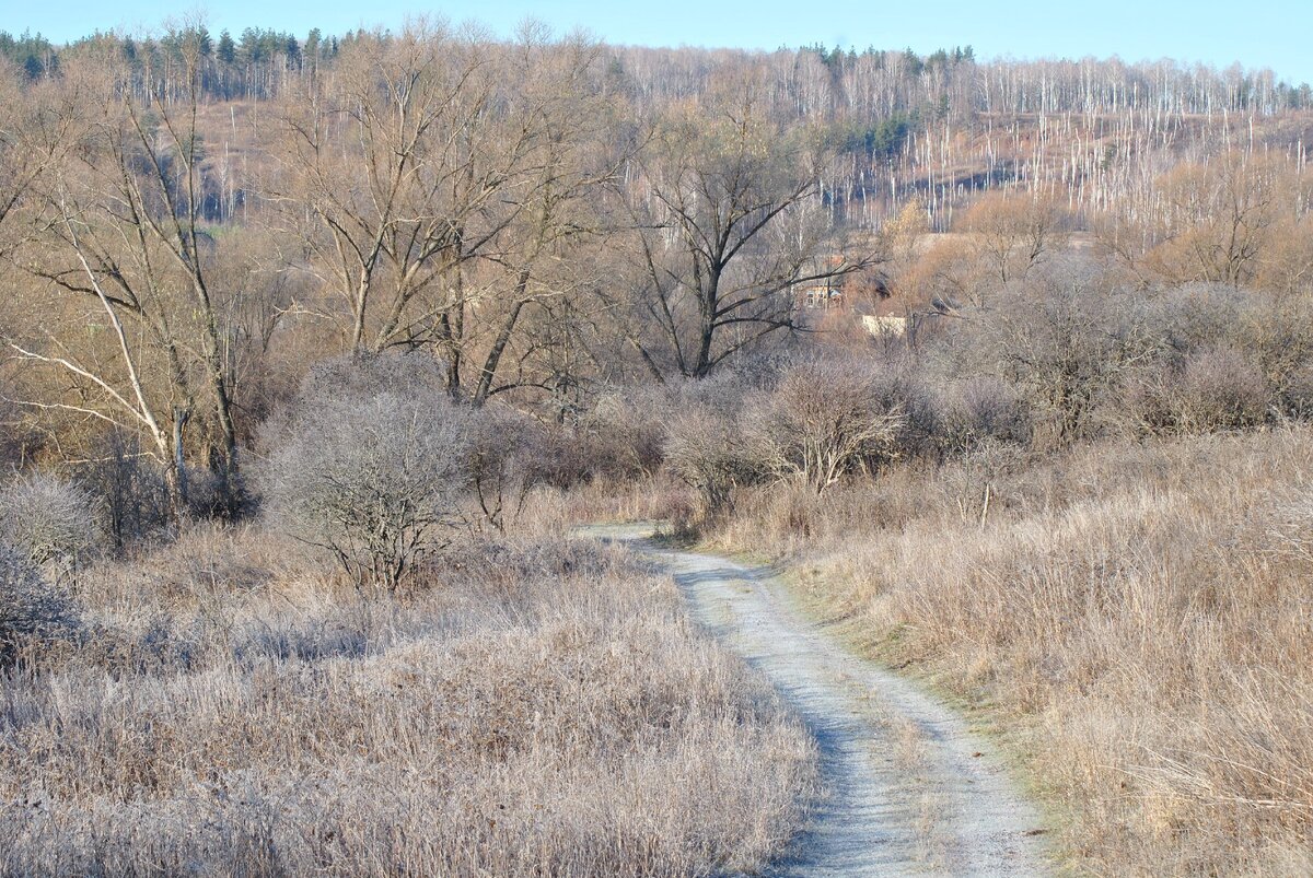 Дорога по которой я хожу на коп.))