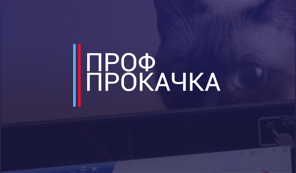 Автор: Гериева Любовь