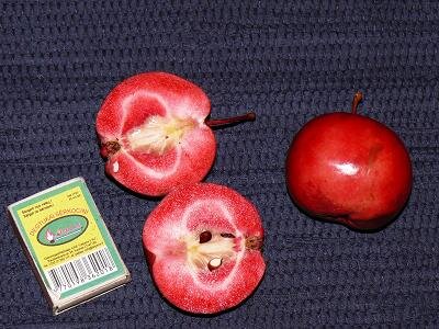 Мелкие яблоки с розовой мякотью (фото взято с сайта radikal.ru)