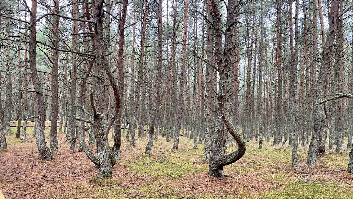 Вы были в этом интересном месте? 