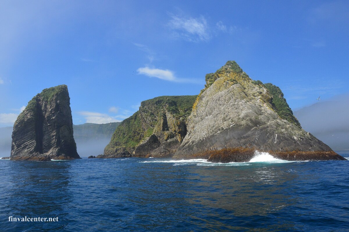 Isla Fiord ship