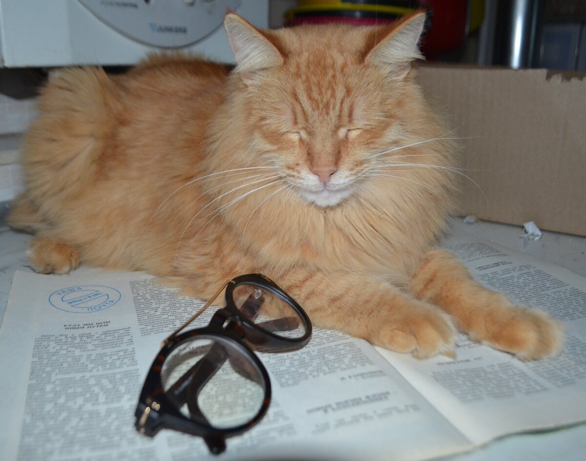 Фото автора.