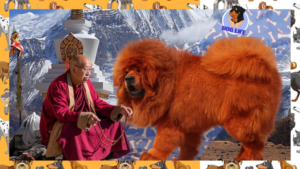 Подпишитесь на канал, чтобы читать еще больше интересных и полезных статей. 